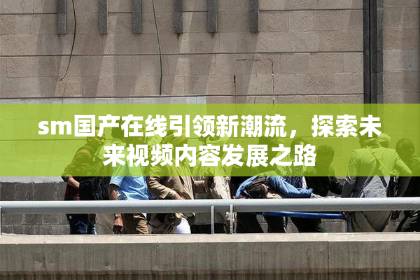 sm国产在线引领新潮流，探索未来视频内容发展之路