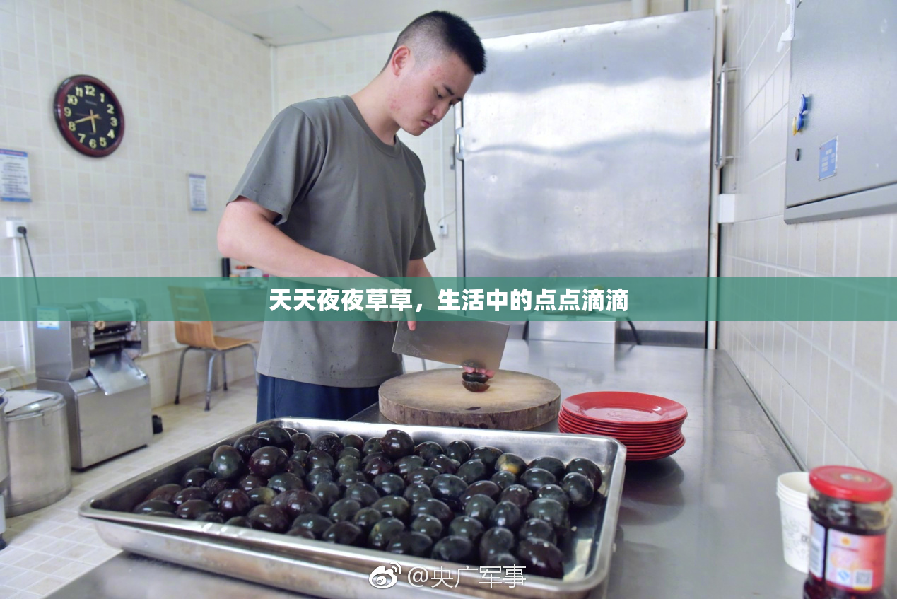 天天夜夜草草，生活中的点点滴滴