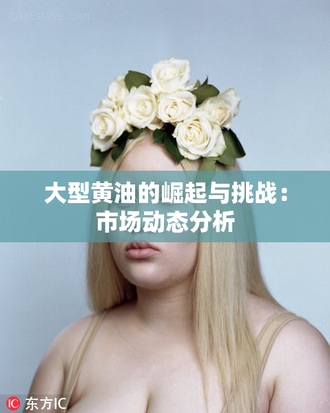 大型黄油的崛起与挑战：市场动态分析