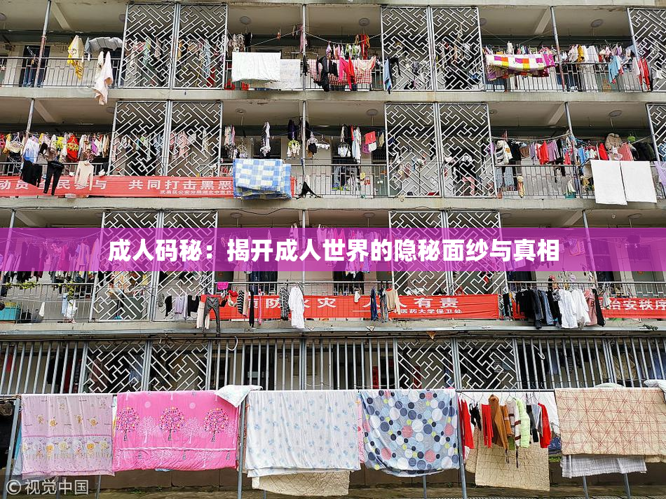 成人码秘：揭开成人世界的隐秘面纱与真相