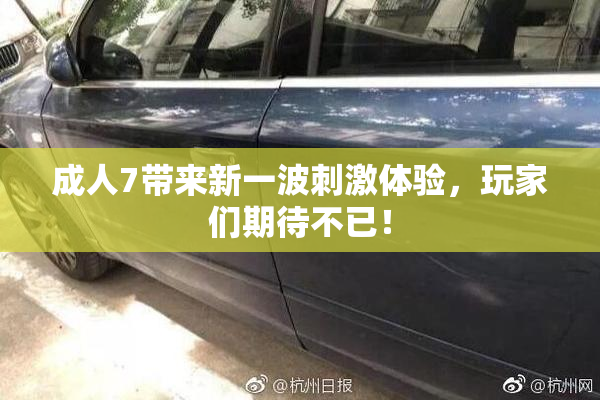 成人7带来新一波刺激体验，玩家们期待不已！