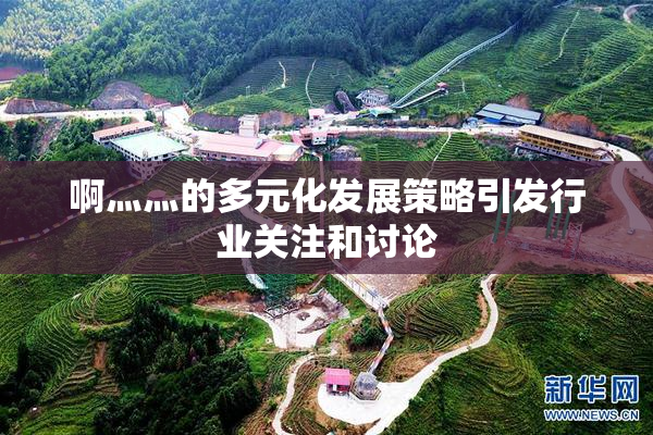 啊灬灬的多元化发展策略引发行业关注和讨论
