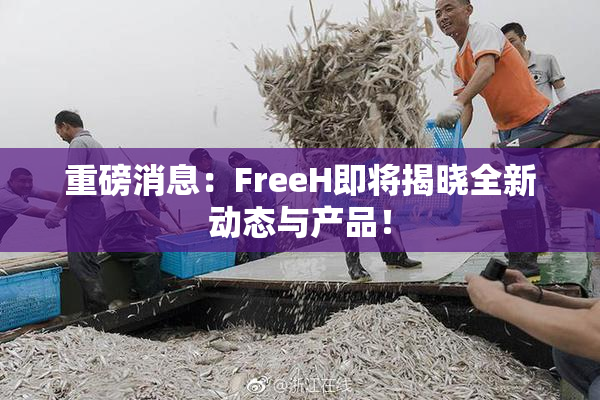 重磅消息：FreeH即将揭晓全新动态与产品！
