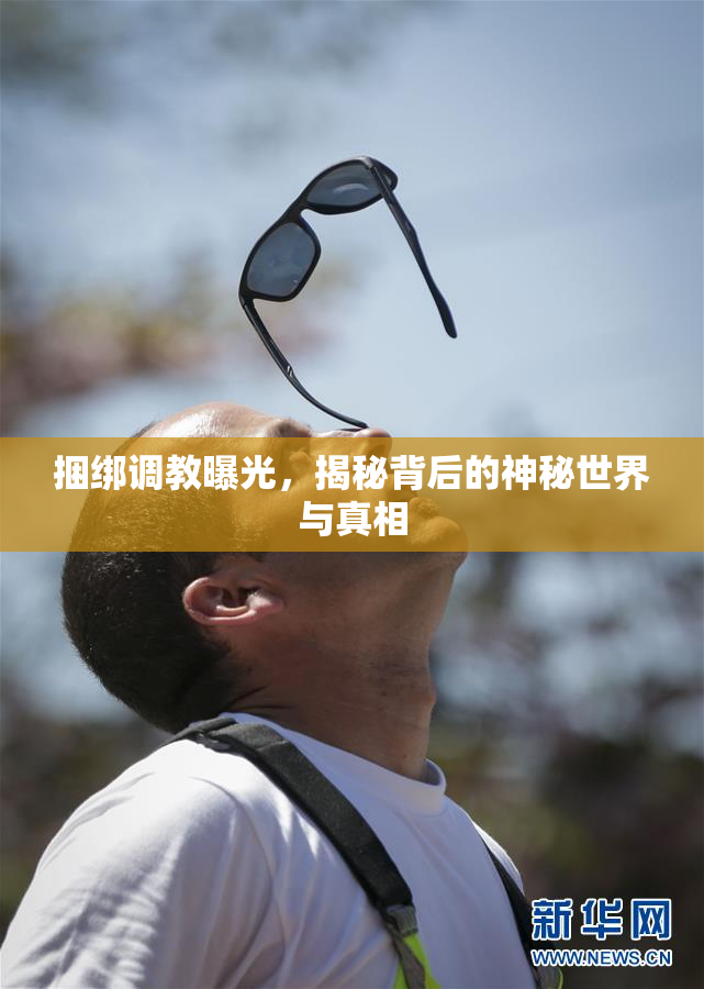 捆绑调教曝光，揭秘背后的神秘世界与真相