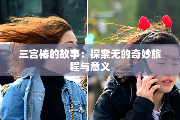 三宫椿的故事：探索无的奇妙旅程与意义