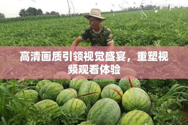 高清画质引领视觉盛宴，重塑视频观看体验