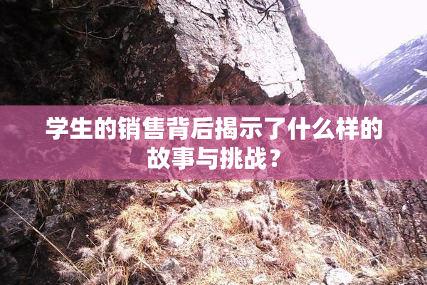 学生的销售背后揭示了什么样的故事与挑战？