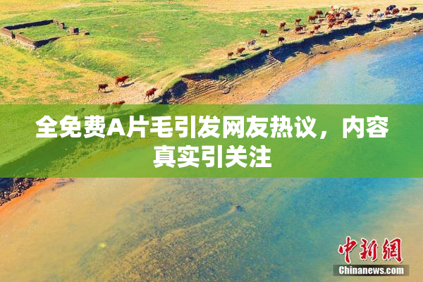 全免费A片毛引发网友热议，内容真实引关注