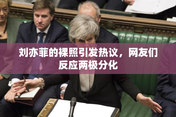 刘亦菲的裸照引发热议，网友们反应两极分化