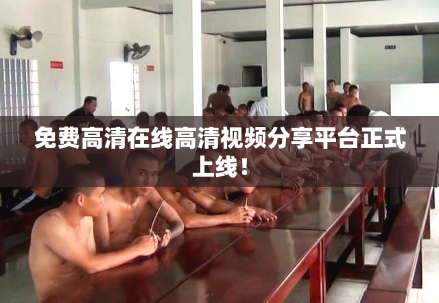 免费高清在线高清视频分享平台正式上线！