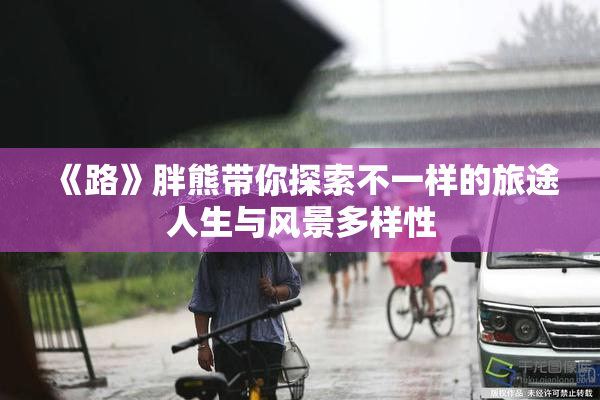 《路》胖熊带你探索不一样的旅途人生与风景多样性