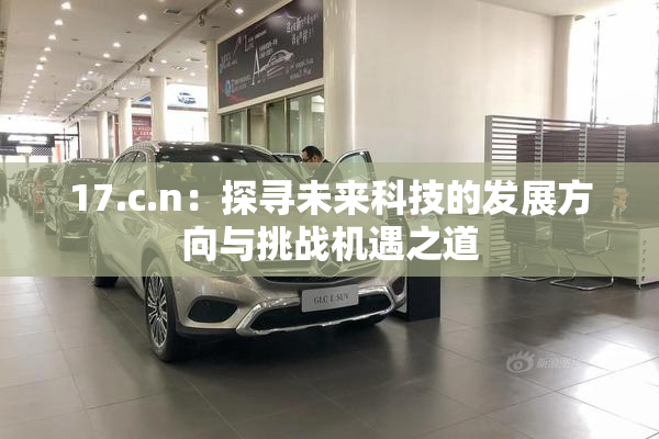 17.c.n：探寻未来科技的发展方向与挑战机遇之道