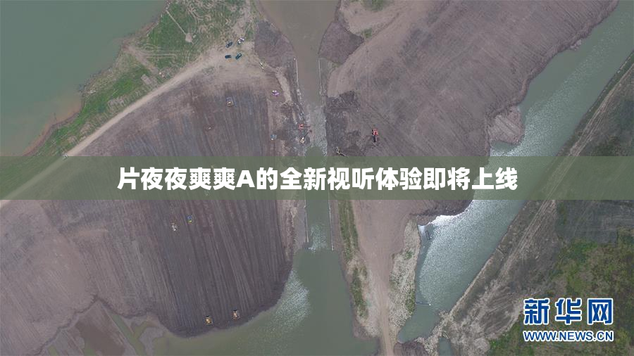 片夜夜爽爽A的全新视听体验即将上线