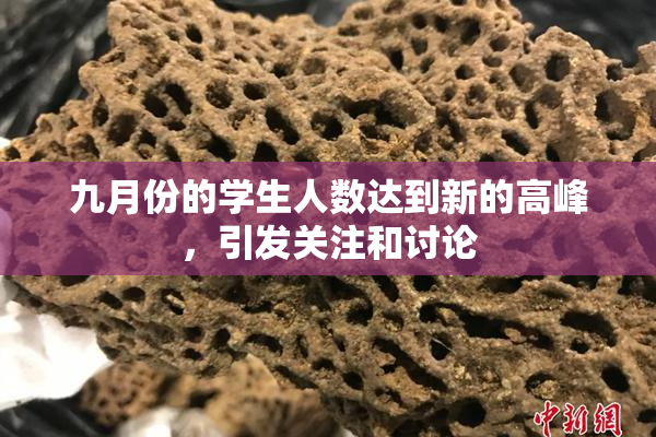 九月份的学生人数达到新的高峰，引发关注和讨论