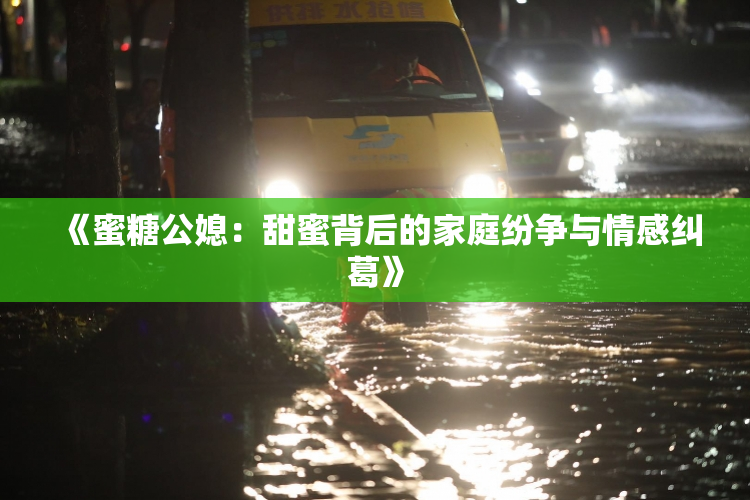 《蜜糖公媳：甜蜜背后的家庭纷争与情感纠葛》
