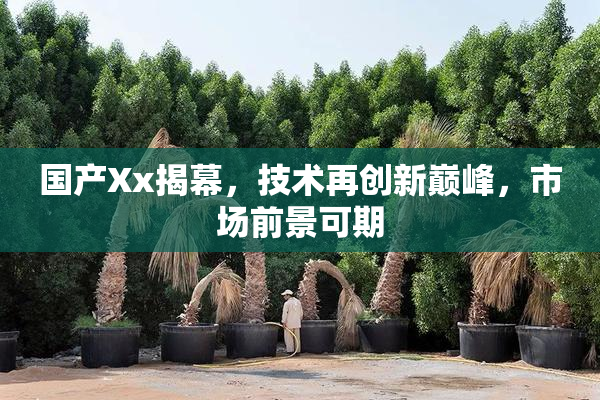 国产Xx揭幕，技术再创新巅峰，市场前景可期