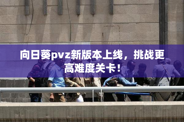 向日葵pvz新版本上线，挑战更高难度关卡！