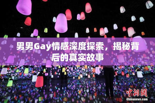 男男Gay情感深度探索，揭秘背后的真实故事
