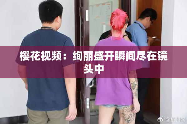 樱花视频：绚丽盛开瞬间尽在镜头中