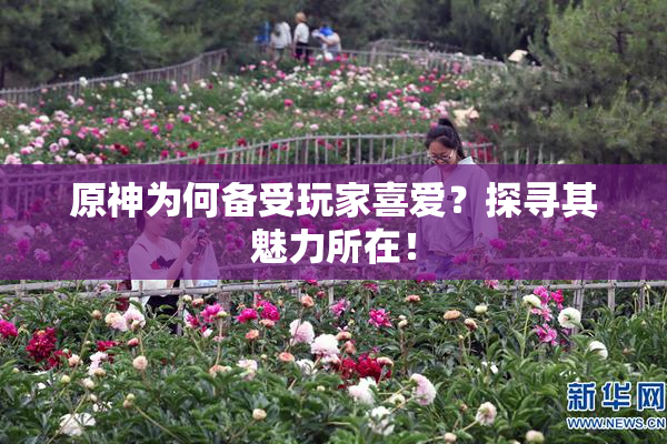 原神为何备受玩家喜爱？探寻其魅力所在！