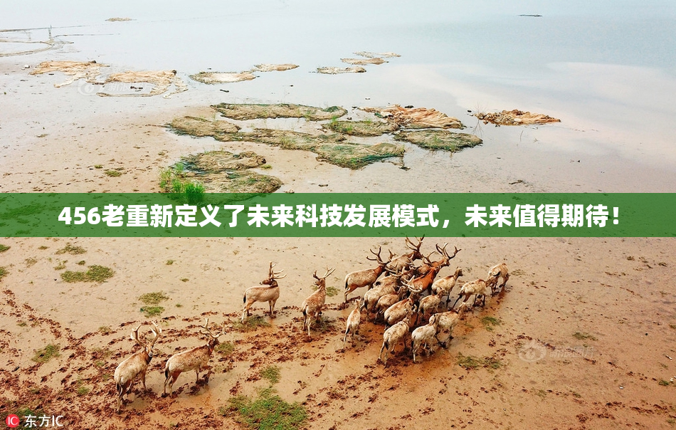 456老重新定义了未来科技发展模式，未来值得期待！
