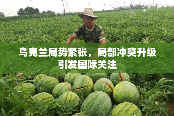 乌克兰局势紧张，局部冲突升级引发国际关注