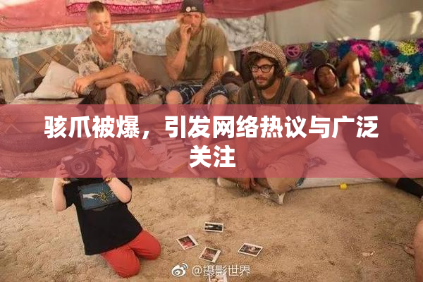 骇爪被爆，引发网络热议与广泛关注