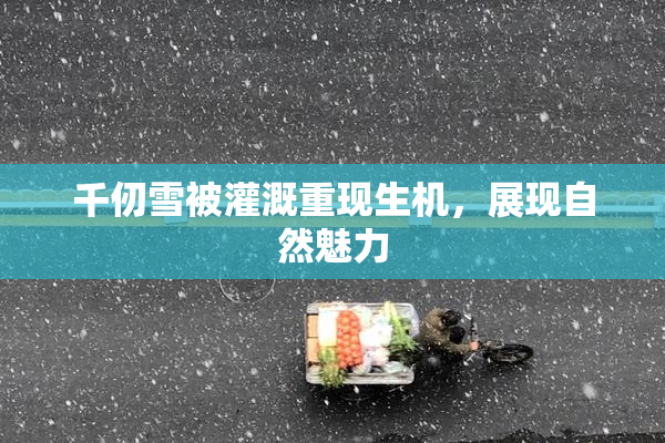 千仞雪被灌溉重现生机，展现自然魅力