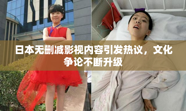 日本无删减影视内容引发热议，文化争论不断升级
