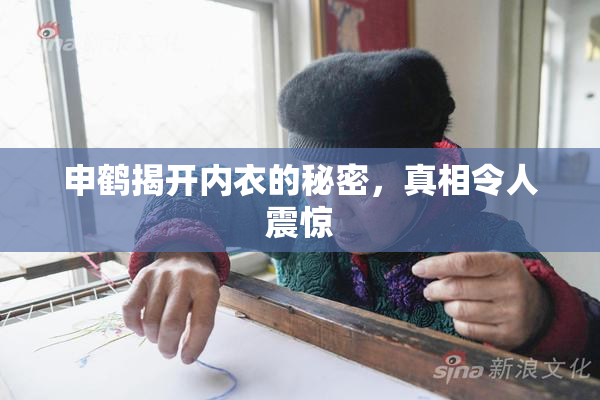 申鹤揭开内衣的秘密，真相令人震惊