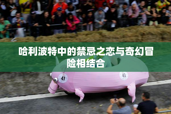 哈利波特中的禁忌之恋与奇幻冒险相结合