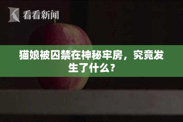 猫娘被囚禁在神秘牢房，究竟发生了什么？