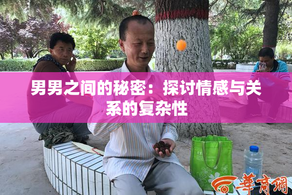 男男之间的秘密：探讨情感与关系的复杂性