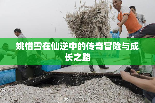 姚惜雪在仙逆中的传奇冒险与成长之路
