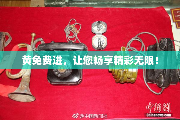 黄免费进，让您畅享精彩无限！