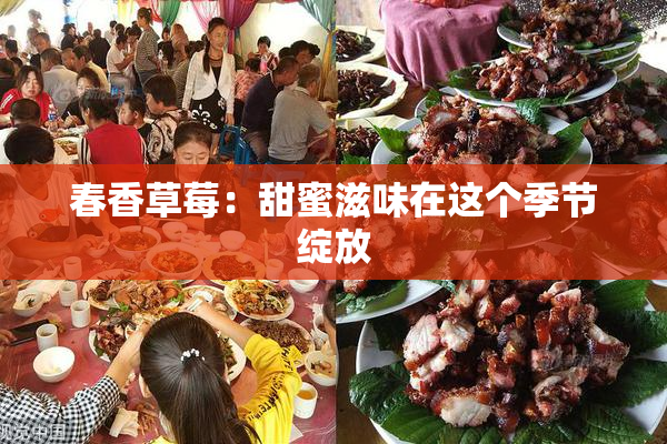 春香草莓：甜蜜滋味在这个季节绽放