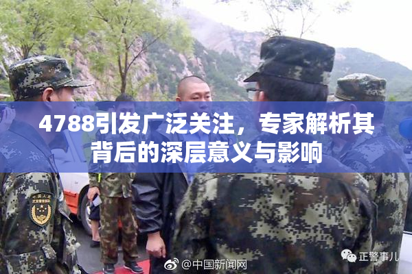 4788引发广泛关注，专家解析其背后的深层意义与影响