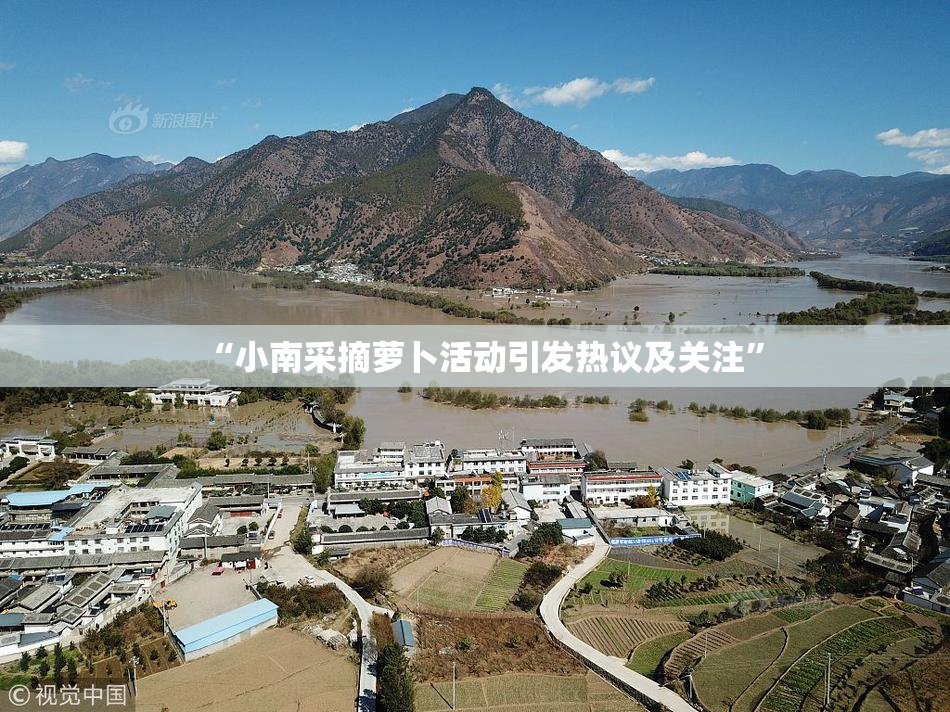 “小南采摘萝卜活动引发热议及关注”