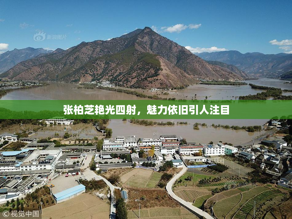 张柏芝艳光四射，魅力依旧引人注目