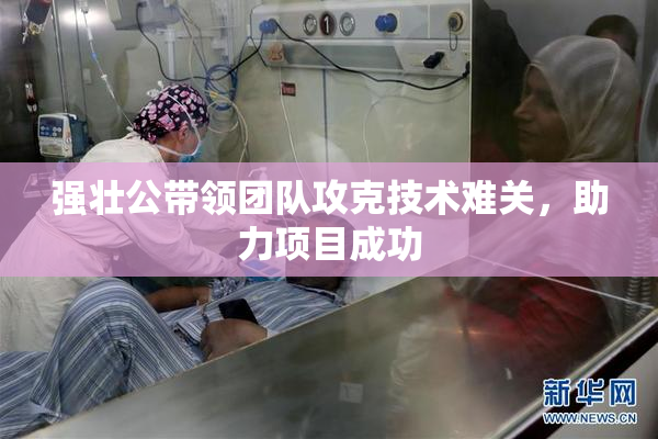 强壮公带领团队攻克技术难关，助力项目成功