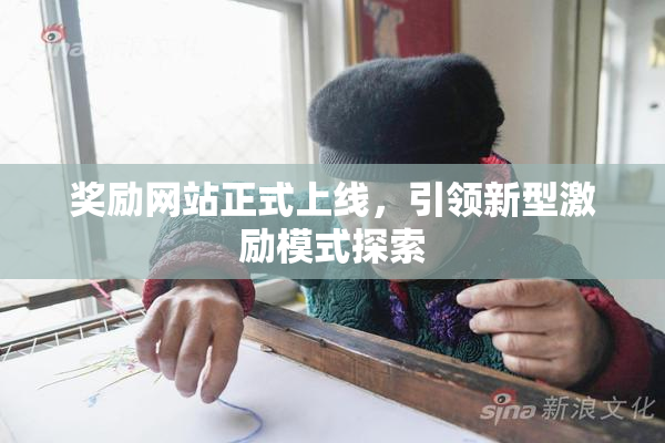 奖励网站正式上线，引领新型激励模式探索