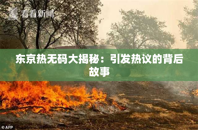 东京热无码大揭秘：引发热议的背后故事
