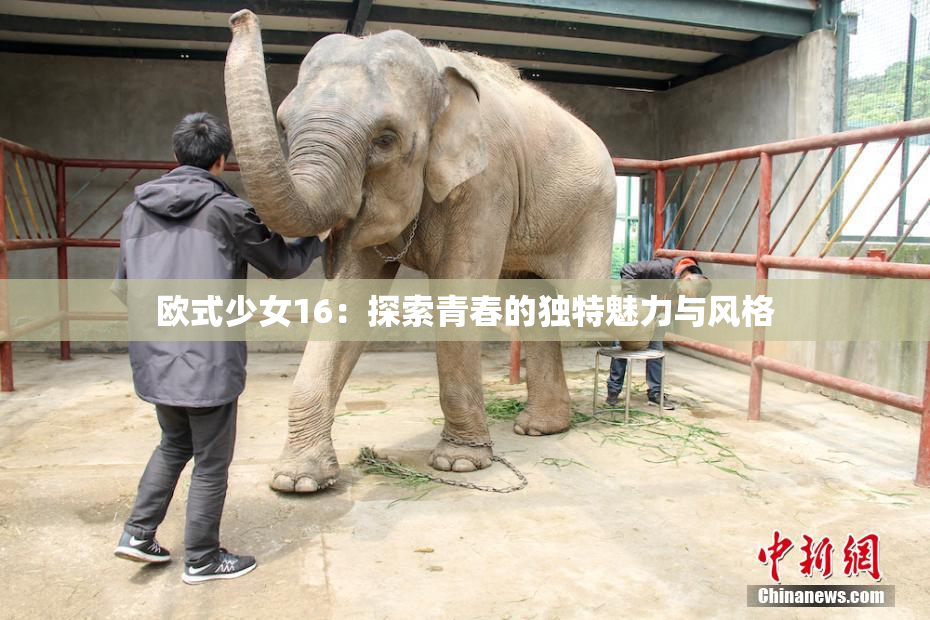 欧式少女16：探索青春的独特魅力与风格