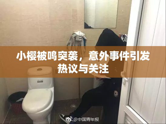 小樱被鸣突袭，意外事件引发热议与关注