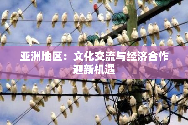 亚洲地区：文化交流与经济合作迎新机遇