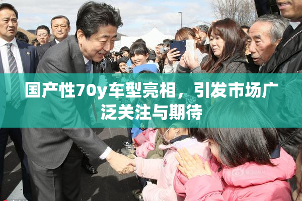 国产性70y车型亮相，引发市场广泛关注与期待