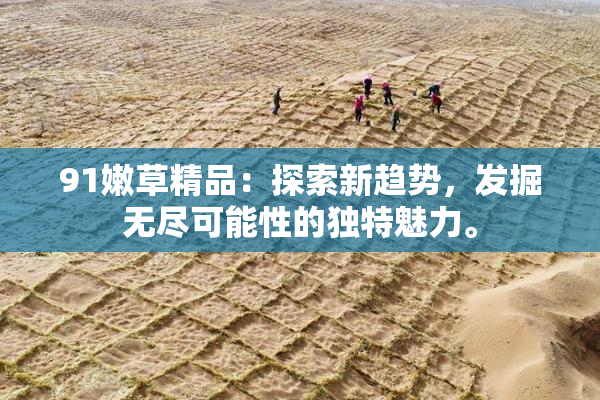 91嫩草精品：探索新趋势，发掘无尽可能性的独特魅力。