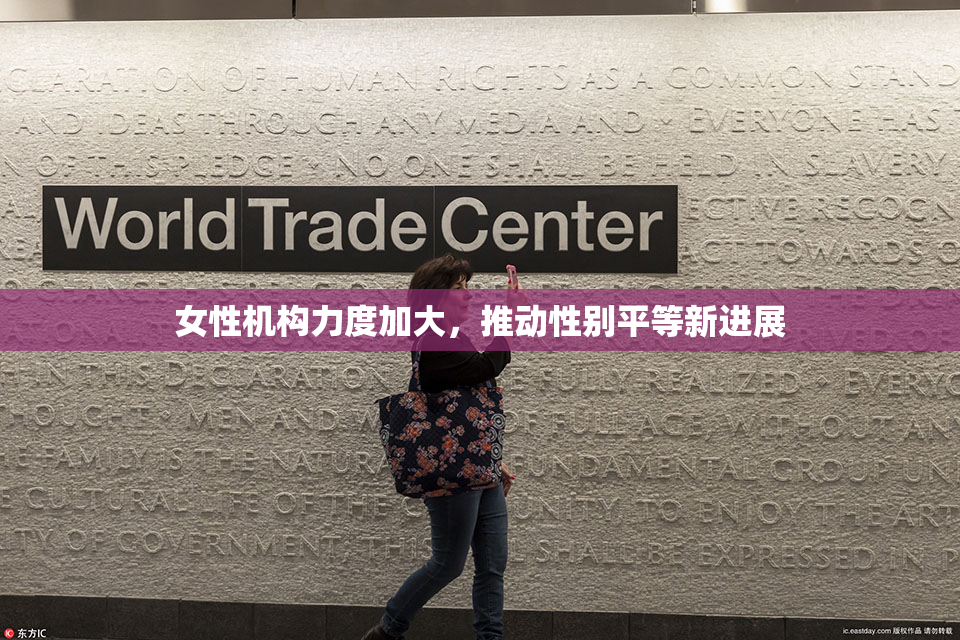 女性机构力度加大，推动性别平等新进展