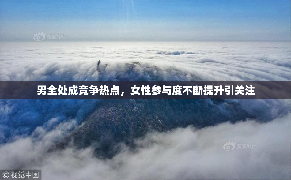 男全处成竞争热点，女性参与度不断提升引关注