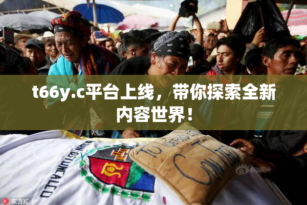 t66y.c平台上线，带你探索全新内容世界！